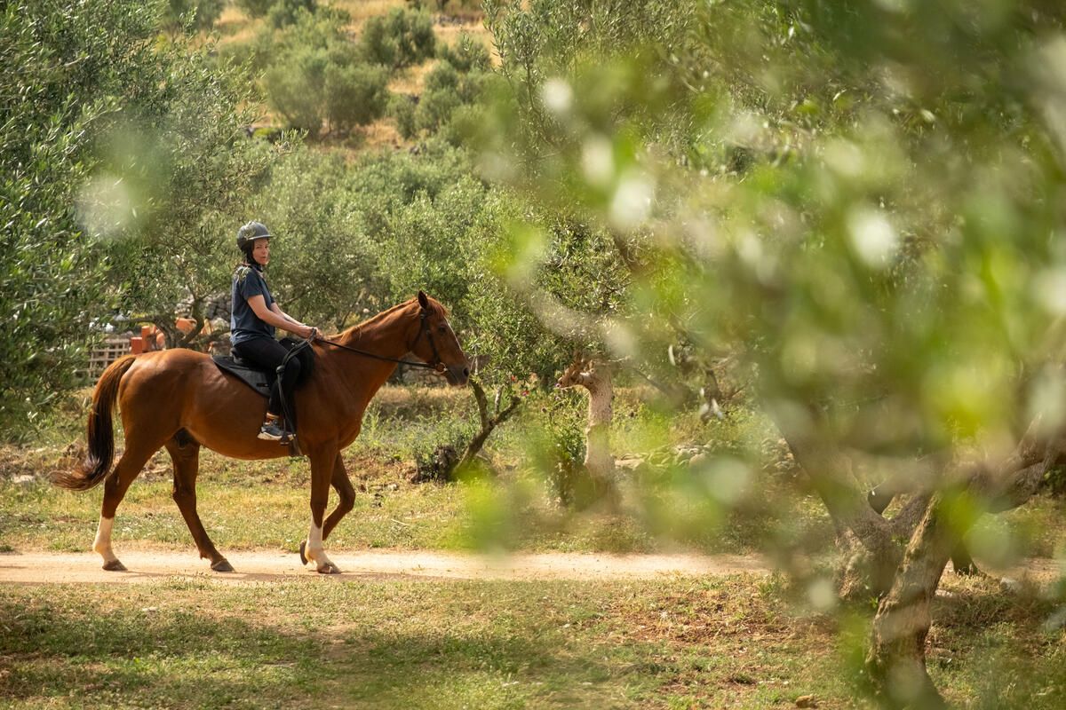 AdventureWEEK Peloponnese