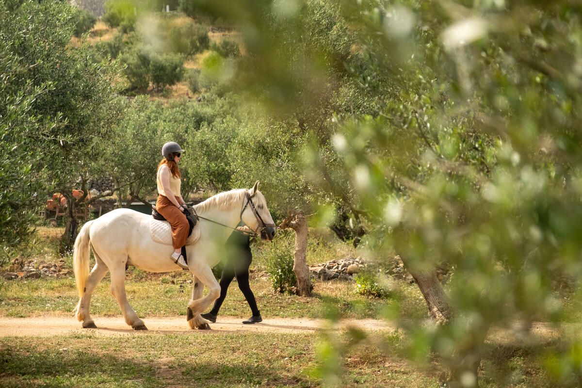AdventureWEEK Peloponnese