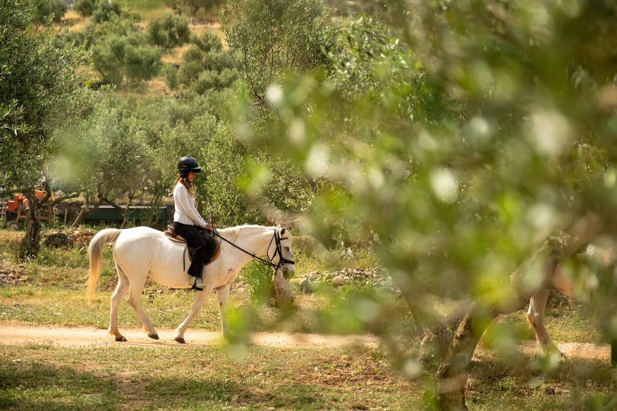 AdventureWEEK Peloponnese